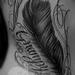 Tattoos - Black and Gray Feather with Lettering - 71958